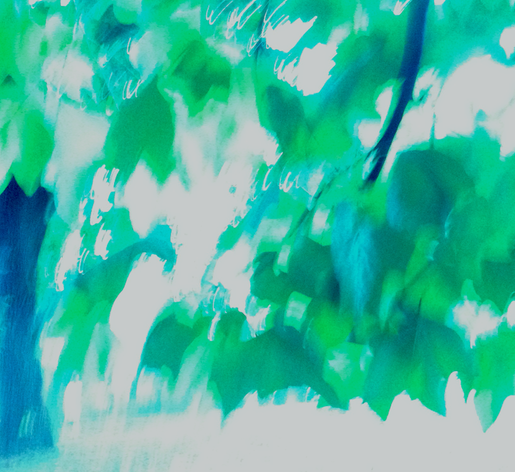 13a treeSummerSunblog