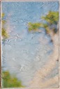BTBS plaster 3