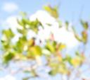 clothesline#34