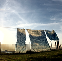 clotheslinePark1
