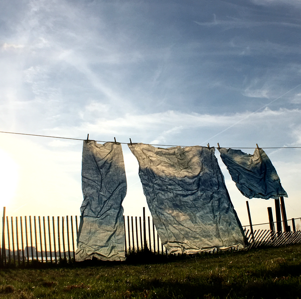 clotheslinePark1