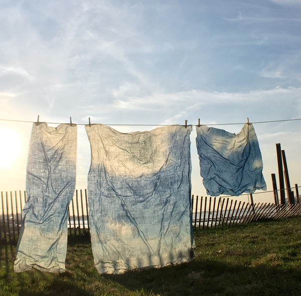 clotheslinePark2