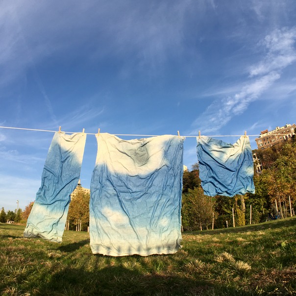 clotheslinePark3