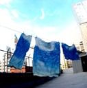 clotheslineRoof5bsml