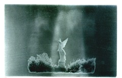 cuban angel 2001