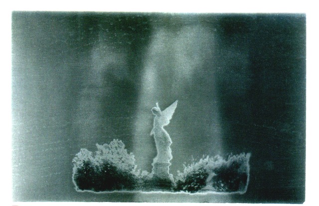 cuban angel 2001
