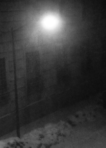JanSnow2015small