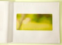 Luxembourg Field 18.5x40cropfinalyellow