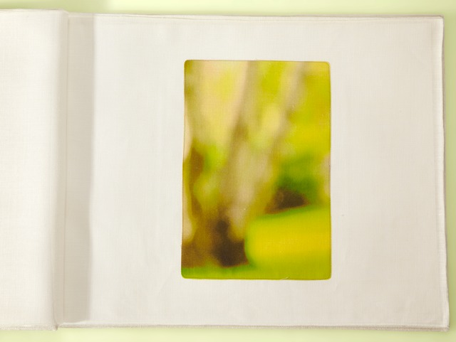 Luxembourg Tree Branches 40x26.5cropTyellow