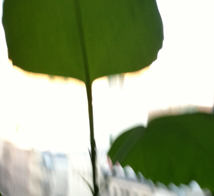 poss1PostPhotoOTWBlog