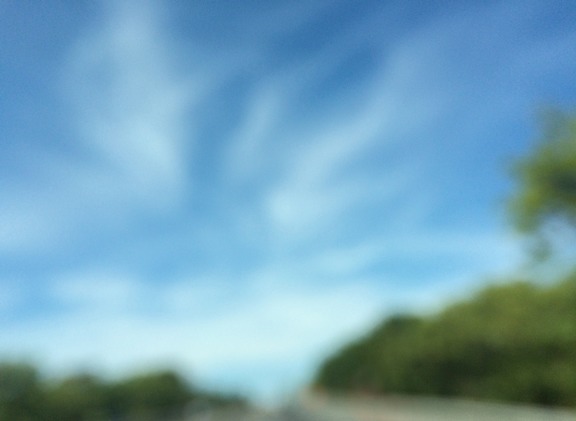 RoadWTreeSmlSite